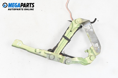 Панта преден капак за Volkswagen New Beetle Hatchback (01.1998 - 09.2010), 2+1 вр., хечбек, позиция: дясна