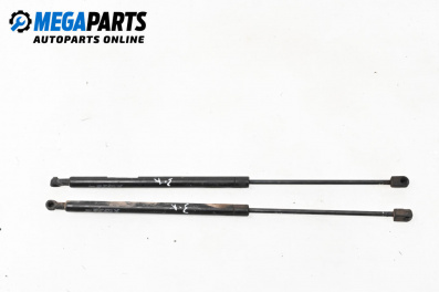 Амортисьор за багажник/товарно пространство за Hyundai Santa Fe I SUV (11.2000 - 03.2006)