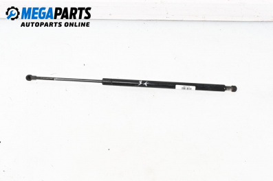 Амортисьор за багажник/товарно пространство за BMW X5 Series E53 (05.2000 - 12.2006)