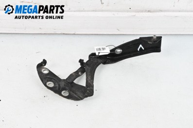 Панта преден капак за Volkswagen Phaeton Sedan (04.2002 - 03.2016), 4+1 вр., седан, позиция: лява