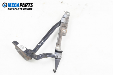 Панта заден капак за Audi A8 Sedan 4D (03.1994 - 12.2002), 4+1 вр., седан, позиция: лява