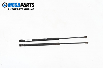 Амортисьор за багажник/товарно пространство за Audi A3 Hatchback I (09.1996 - 05.2003)