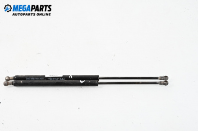 Амортисьор за багажник/товарно пространство за Ford Focus I Hatchback (10.1998 - 12.2007)