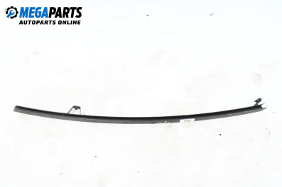 Външни лайсни за Renault Scenic II Minivan (06.2003 - 07.2010), миниван, позиция: дясна