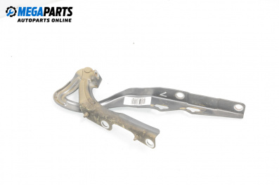 Панта преден капак за Peugeot 207 Hatchback (02.2006 - 12.2015), 4+1 вр., хечбек, позиция: лява