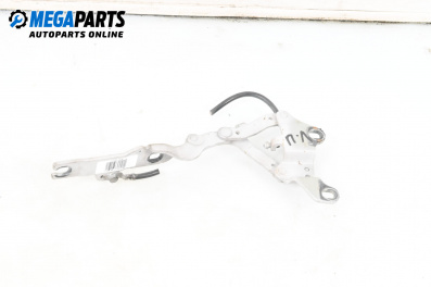 Панта преден капак за BMW 3 Series E90 Sedan E90 (01.2005 - 12.2011), 4+1 вр., седан, позиция: лява