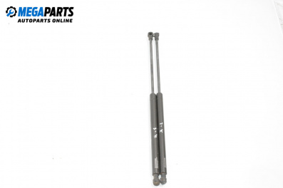 Амортисьор за багажник/товарно пространство за Audi A4 Avant B6 (04.2001 - 12.2004)