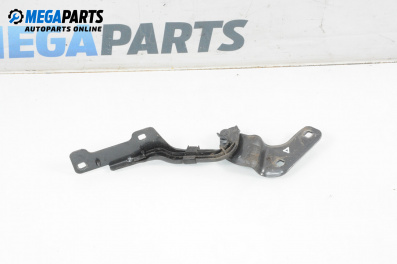 Панта заден капак за Renault Clio III Hatchback (01.2005 - 12.2012), 4+1 вр., хечбек, позиция: дясна