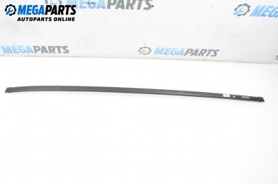 Външни лайсни за Renault Megane Scenic (10.1996 - 12.2001), миниван, позиция: дясна