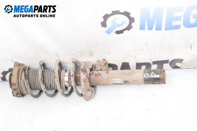 Макферсон за Volkswagen Golf V Hatchback (10.2003 - 02.2009), хечбек, позиция: предна, лява