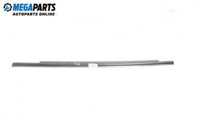 Външни лайсни за Mercedes-Benz B-Class Hatchback I (03.2005 - 11.2011), хечбек, позиция: задна