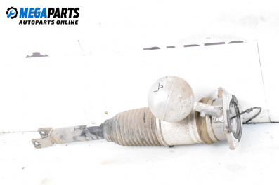 Въздушен амортисьор за Volkswagen Phaeton Sedan (04.2002 - 03.2016), седан, позиция: задна, дясна