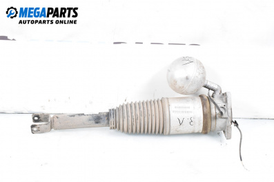 Въздушен амортисьор за Volkswagen Phaeton Sedan (04.2002 - 03.2016), седан, позиция: задна, лява