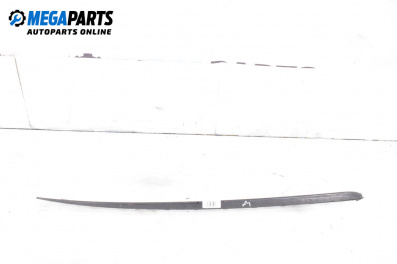 Външни лайсни за Opel Meriva A Minivan (05.2003 - 05.2010), миниван, позиция: дясна