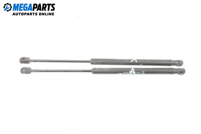 Амортисьор за багажник/товарно пространство за Citroen C3 Hatchback I (02.2002 - 11.2009)