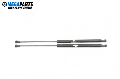 Амортисьор за багажник/товарно пространство за Audi A4 Avant B6 (04.2001 - 12.2004)