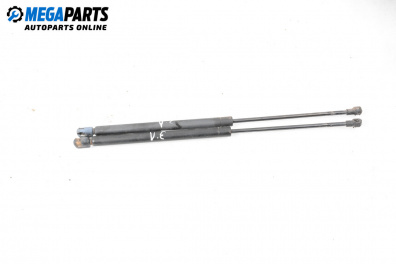 Амортисьор за багажник/товарно пространство за Audi A3 Hatchback I (09.1996 - 05.2003)