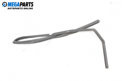 Уплътнение за врата за Hyundai Santa Fe III SUV (09.2012 - 12.2018), 4+1 вр., джип, позиция: задна, лява