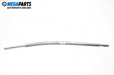 Външни лайсни за Hyundai Santa Fe III SUV (09.2012 - 12.2018), джип, позиция: лява