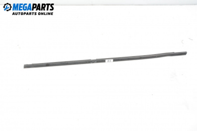 Външни лайсни за Renault Scenic II Minivan (06.2003 - 07.2010), миниван, позиция: лява