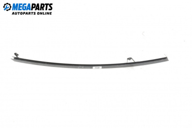 Външни лайсни за Renault Scenic II Minivan (06.2003 - 07.2010), миниван, позиция: лява