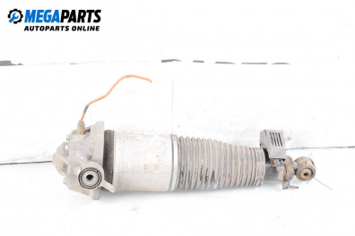 Въздушен амортисьор за Volkswagen Touareg SUV I (10.2002 - 01.2013), джип, позиция: задна, дясна