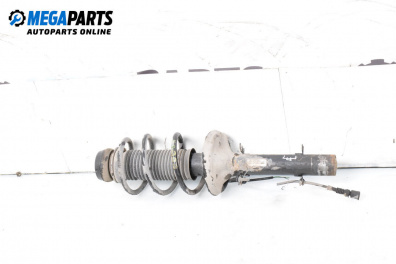 Макферсон за Audi A3 Hatchback I (09.1996 - 05.2003), хечбек, позиция: предна, дясна