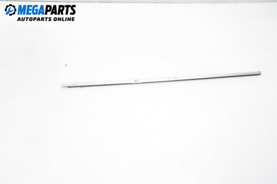 Външна лайсна врата за BMW 5 Series E39 Touring (01.1997 - 05.2004), комби, позиция: предна, дясна