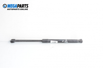 Амортисьор за багажник/товарно пространство за Audi A6 Avant C6 (03.2005 - 08.2011)