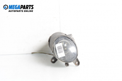 Халоген за Volkswagen Passat IV Variant B5.5 (09.2000 - 08.2005), комби, позиция: дясна