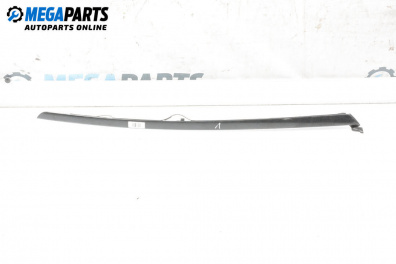 Външни лайсни за Citroen C4 Coupe (11.2004 - 12.2013), купе, позиция: лява