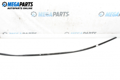 Лайсна таван за BMW 7 Series E65 (11.2001 - 12.2009), седан, позиция: дясна