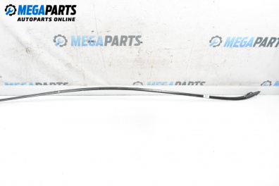 Външни лайсни за Mitsubishi Grandis Minivan (03.2003 - 12.2011), миниван, позиция: дясна