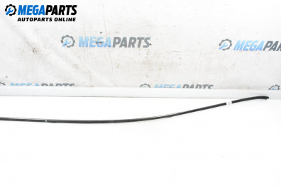 Външни лайсни за Mitsubishi Grandis Minivan (03.2003 - 12.2011), миниван, позиция: лява