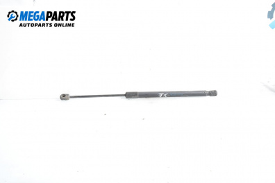 Амортисьор за багажник/товарно пространство за Audi A6 Avant C6 (03.2005 - 08.2011)