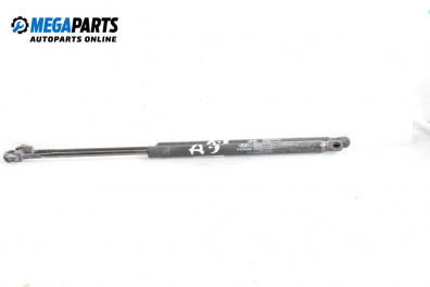 Амортисьор за багажник/товарно пространство за Hyundai Tucson SUV I (06.2004 - 11.2010)