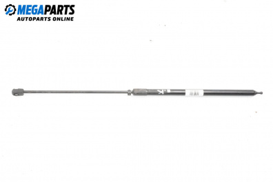 Амортисьор преден капак за Renault Megane III Hatchback (11.2008 - 12.2015)