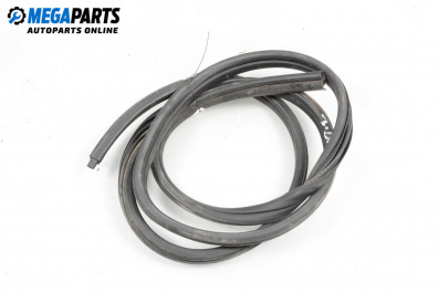 Уплътнение за врата за Renault Megane Scenic (10.1996 - 12.2001), 4+1 вр., миниван, позиция: задна, дясна