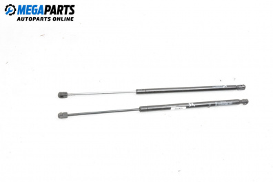 Амортисьор за багажник/товарно пространство за Renault Megane Scenic (10.1996 - 12.2001)