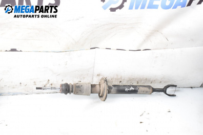 Амортисьор за Audi A6 Avant C6 (03.2005 - 08.2011), комби, позиция: предна, дясна