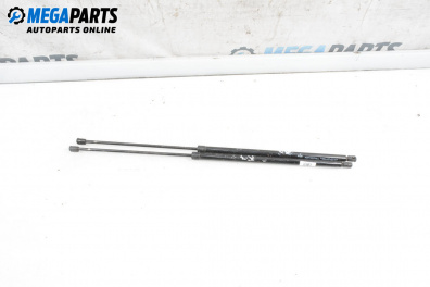 Амортисьор за багажник/товарно пространство за Fiat Doblo Van I (03.2001 - 11.2009)