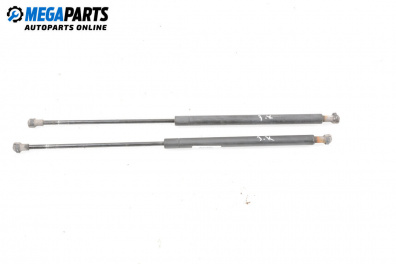 Амортисьор за багажник/товарно пространство за Peugeot 206 Station Wagon (07.2002 - ...)