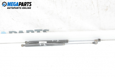 Амортисьор за багажник/товарно пространство за Renault Laguna I Grandtour (09.1995 - 03.2001)