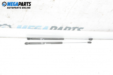 Амортисьор за багажник/товарно пространство за Renault Laguna I Grandtour (09.1995 - 03.2001)