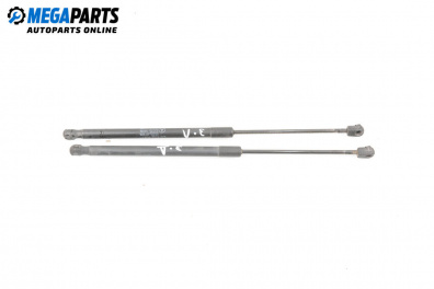 Амортисьор за багажник/товарно пространство за Mercedes-Benz A-Class Hatchback W169 (09.2004 - 06.2012)
