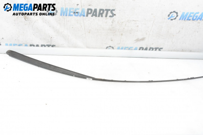 Външни лайсни за Mercedes-Benz A-Class Hatchback W169 (09.2004 - 06.2012), хечбек, позиция: лява