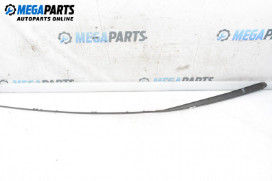 Външни лайсни за Mercedes-Benz A-Class Hatchback W169 (09.2004 - 06.2012), хечбек, позиция: дясна