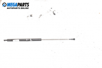 Амортисьор за багажник/товарно пространство за Renault Megane Scenic (10.1996 - 12.2001)