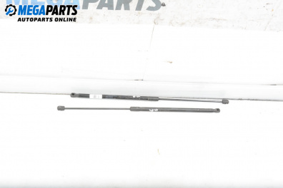 Амортисьор преден капак за Mercedes-Benz C-Class Sedan (W204) (01.2007 - 01.2014)