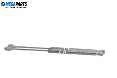 Амортисьор за багажник/товарно пространство за Renault Megane II Hatchback (07.2001 - 10.2012)